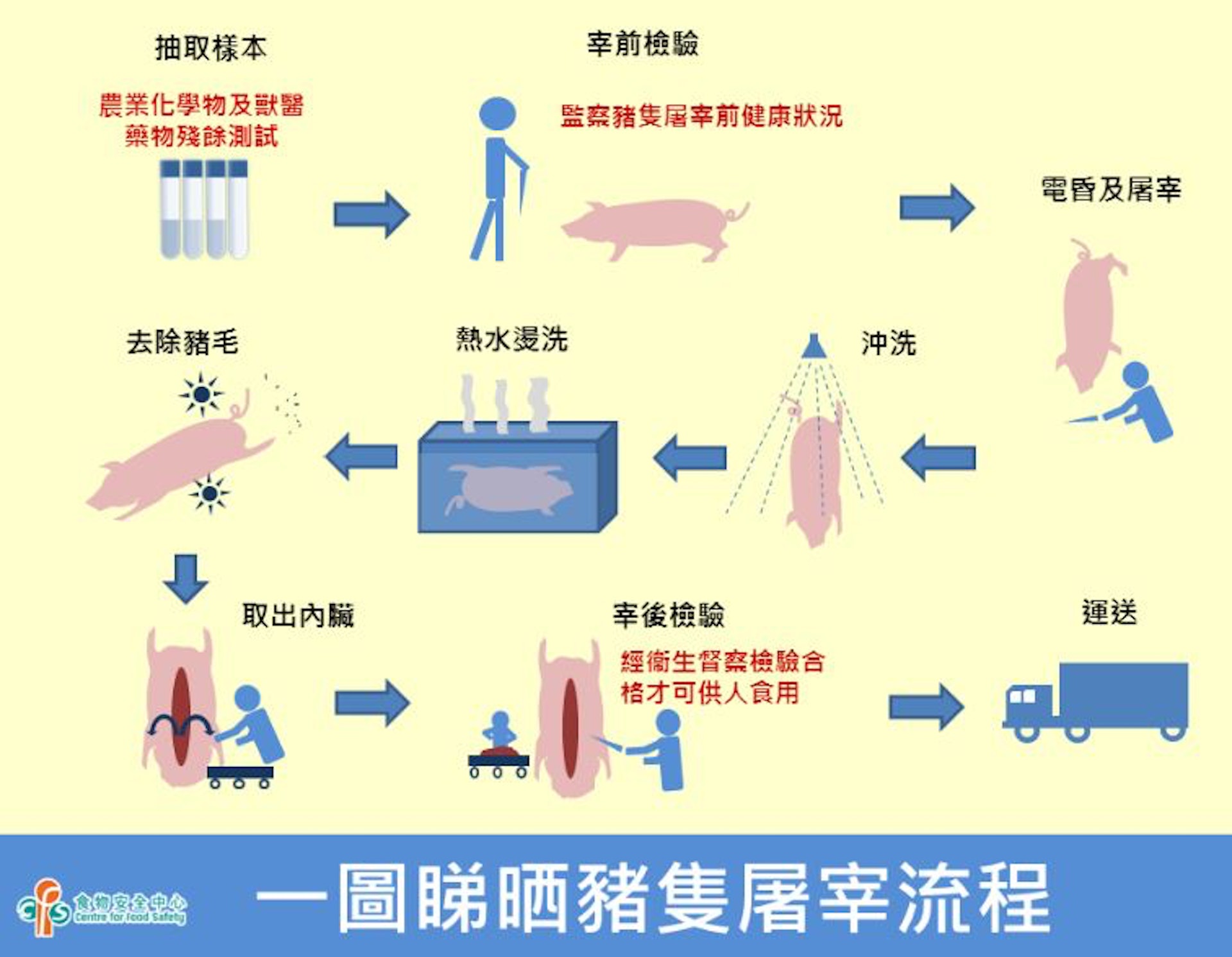 屠宰方法有兩種，一種採用全機械化自動電豬槽，另一種為人手電擊。（食安中心網上截圖）