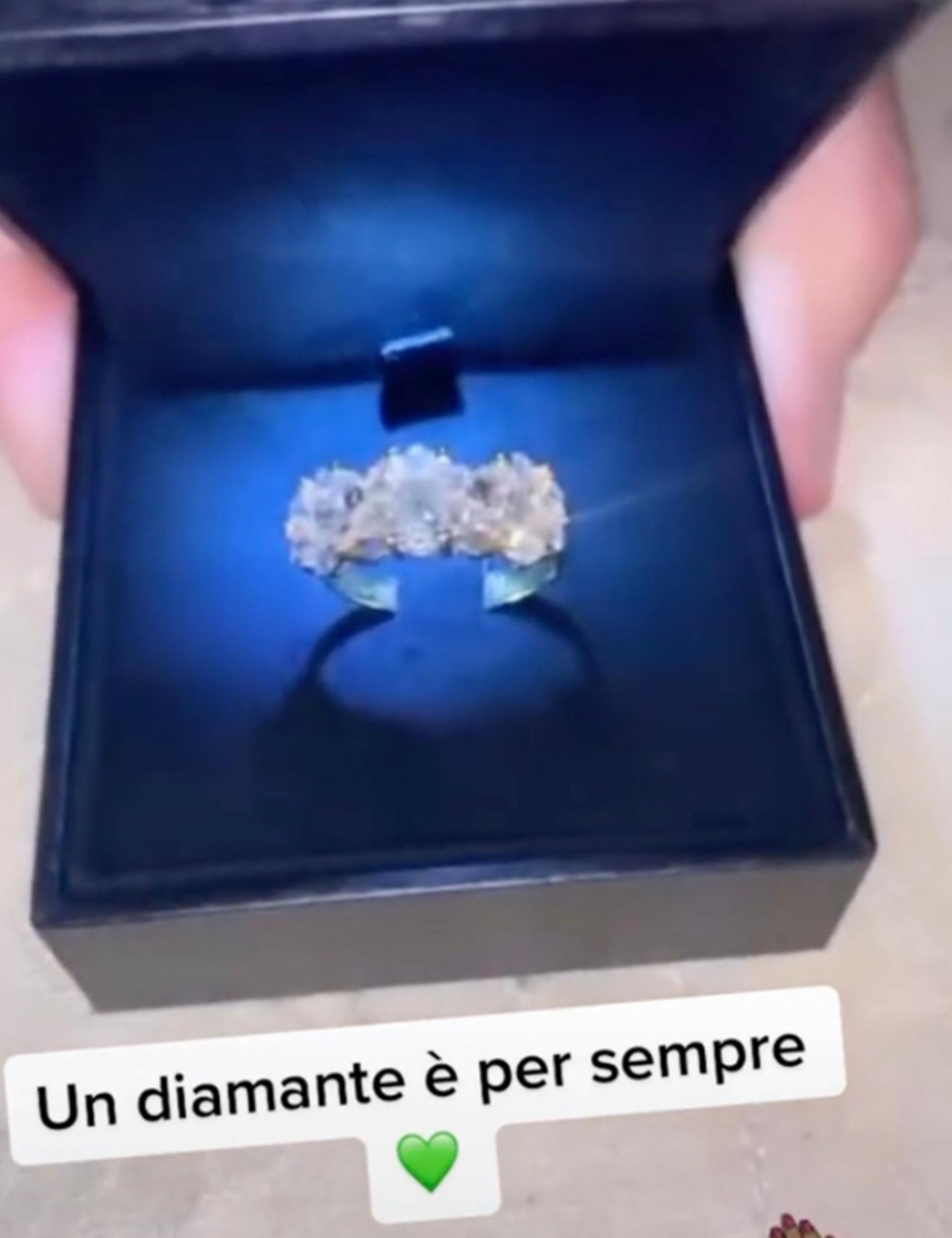 意大利一名19歲的少年向76歲的女性求婚，並將求婚影片放上網，掀起網友熱議。（TikTok@milina_gatta）