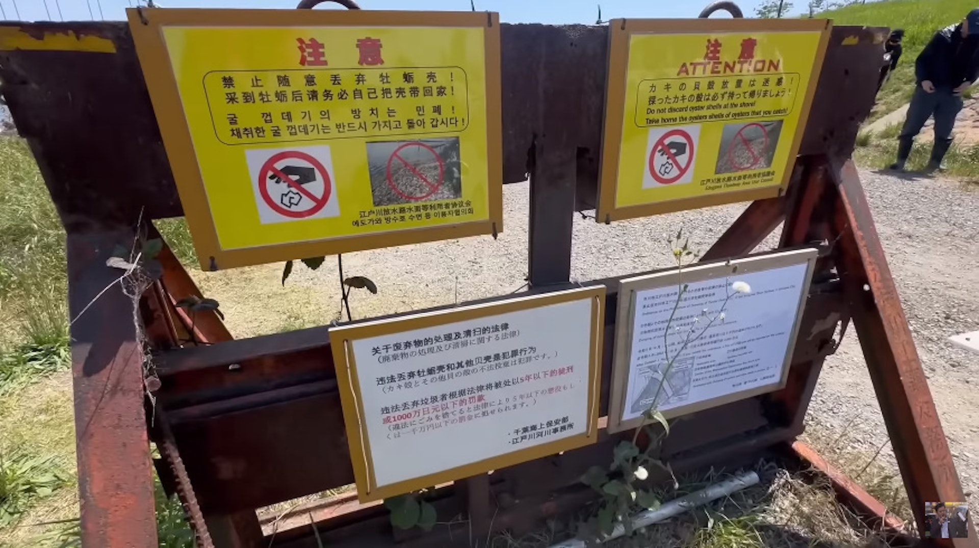 曾經有人因蠔殼絆到受傷,市政府亦為清理蠔殼花費了不少公帑、引起市民不滿。因此江戶川設有中文、英文、韓文及日文多國語言對照的指示牌,提醒來客「禁止隨處丟棄牡蠣殼!采到牡蠣後請務必自己把殼帶回家」。(YouTube 截圖) 曾經有人因蠔殼絆到受傷,市政府亦為清理蠔殼花費了不少公帑、引起市民不滿。因此江戶川設有中文、英文、韓文及日文多國語言對照的指示牌,提醒來客「禁止隨處丟棄牡蠣殼!采到牡蠣後請務必自己把殼帶回家」。(YouTube 截圖)