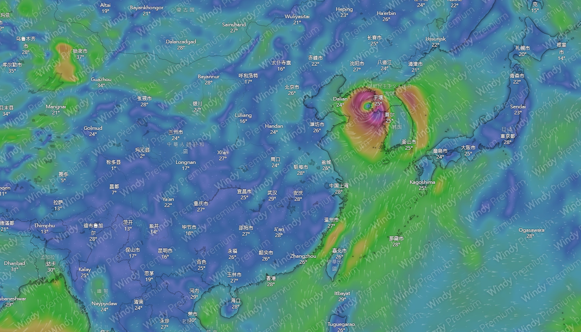 美國全球預報系統（GFS）則顯示，菲律賓以東海域的低壓區會形成熱帶氣旋會於下是期二（25日）向西北方向移動，掠過台灣以東海域，下星期四（27日）向北移動進入黃海，直至下星期五（28日）登陸朝鮮半島西北部，對香港並無影響。（Windy.com）